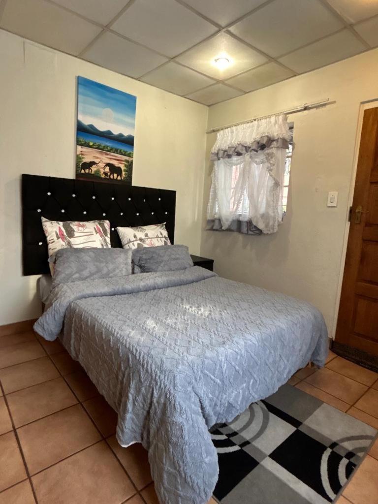 Blue Lantern Bed And Breakfast Kempton Park Zewnętrze zdjęcie